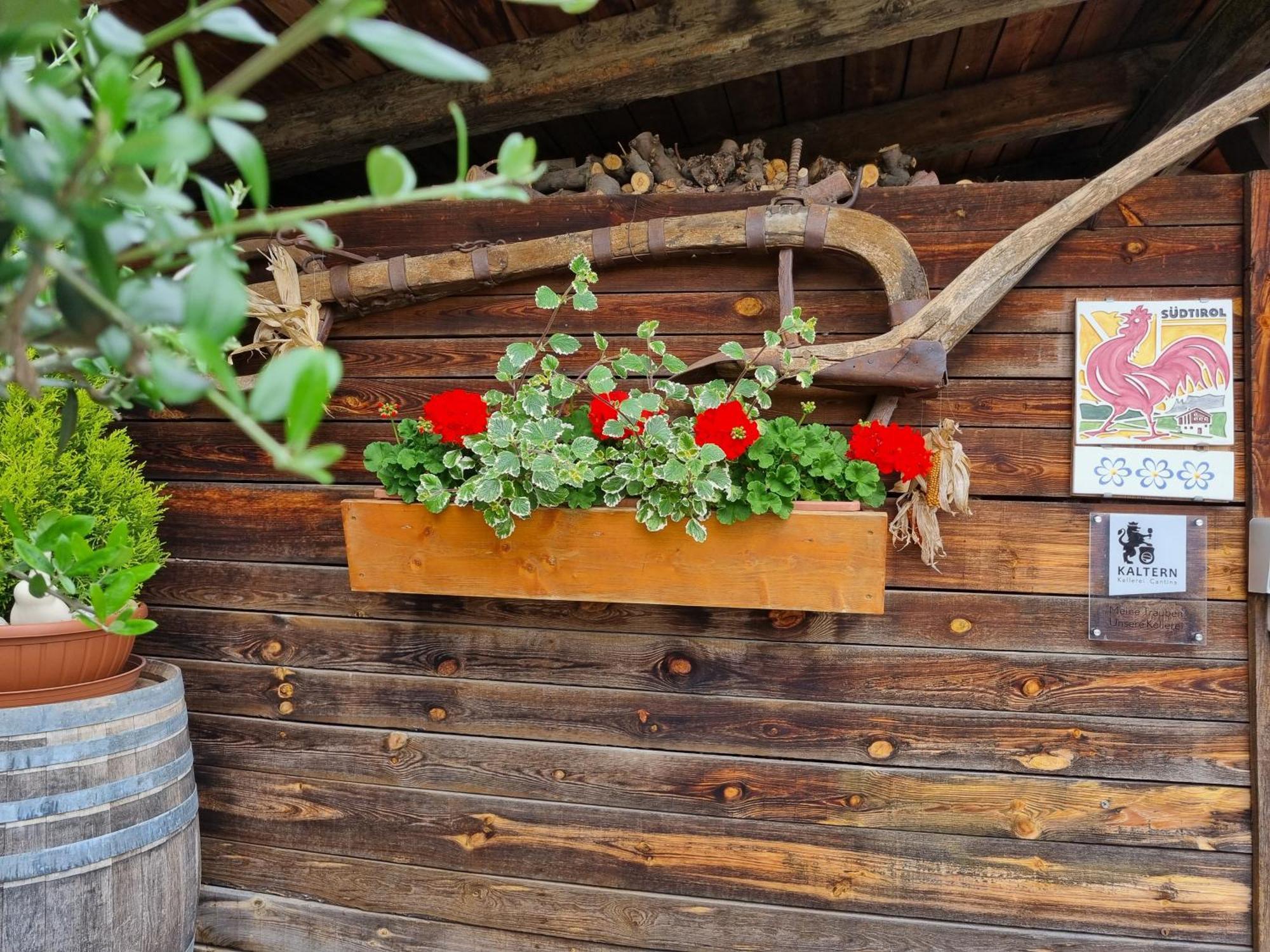 Urlaub Auf Dem Bauernhof Schmidhof - Grosse Terrasse, Pool Und Beste Lage Caldaro Bagian luar foto